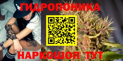 ПСИЛОЦИБИНОВЫЕ ГРИБЫ Кулебаки