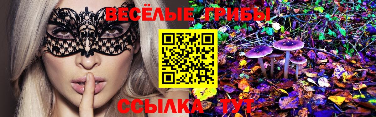 Псилоцибиновые грибы прущие грибы  Вход с VPN  Татарск 